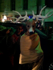 Another Deer on Frenchmen St, NOLA 2012